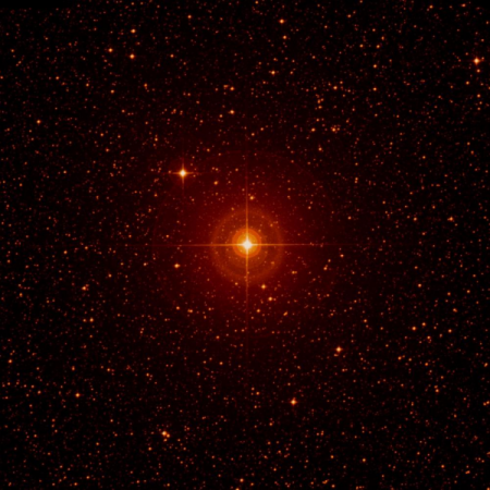 Image of &delta;-Mus