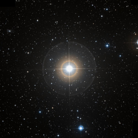 Image of Nembus