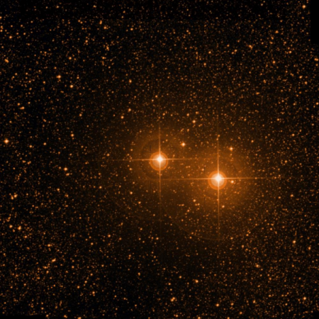 Image of Pipirima