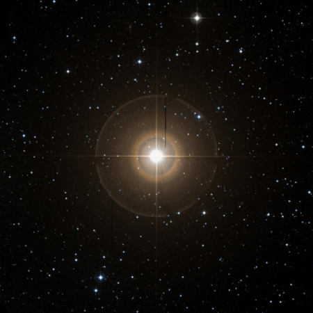Image of Tarf