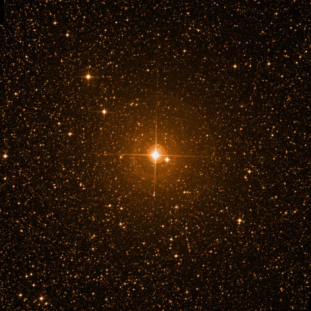 Image of &zeta;-Lup