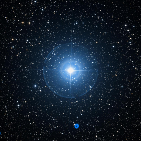 Image of Haedus