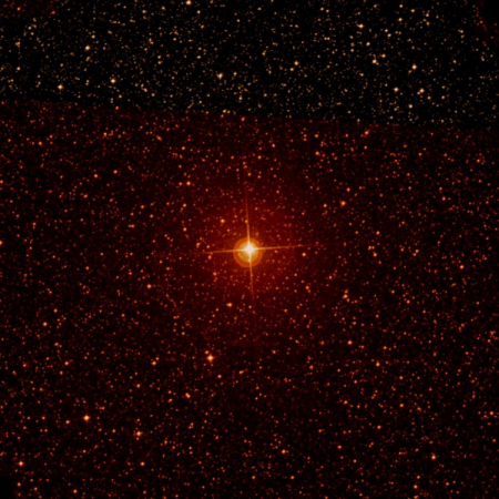 Image of β-Mus