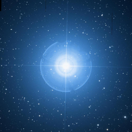 Image of Castor