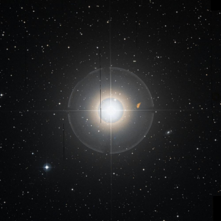 Image of Matar