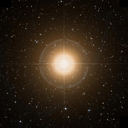 Image of Brachium