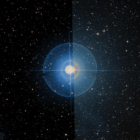 Image of Fang