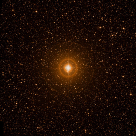 Image of α-Ara