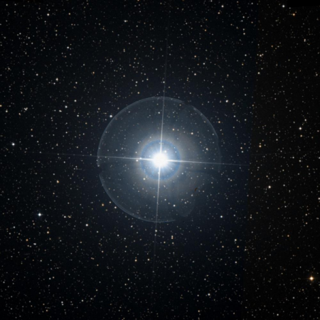 Image of &gamma;-Per