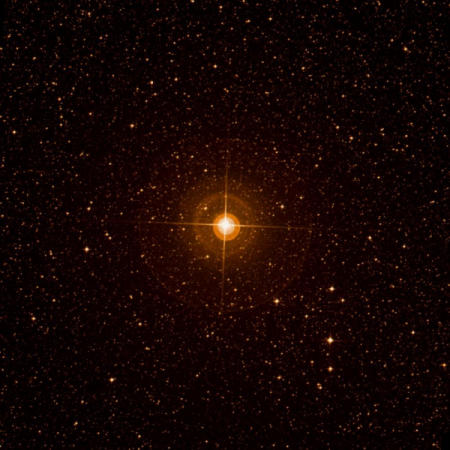 Image of Imai