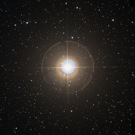 Image of Hassaleh