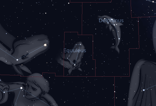 Equuleus